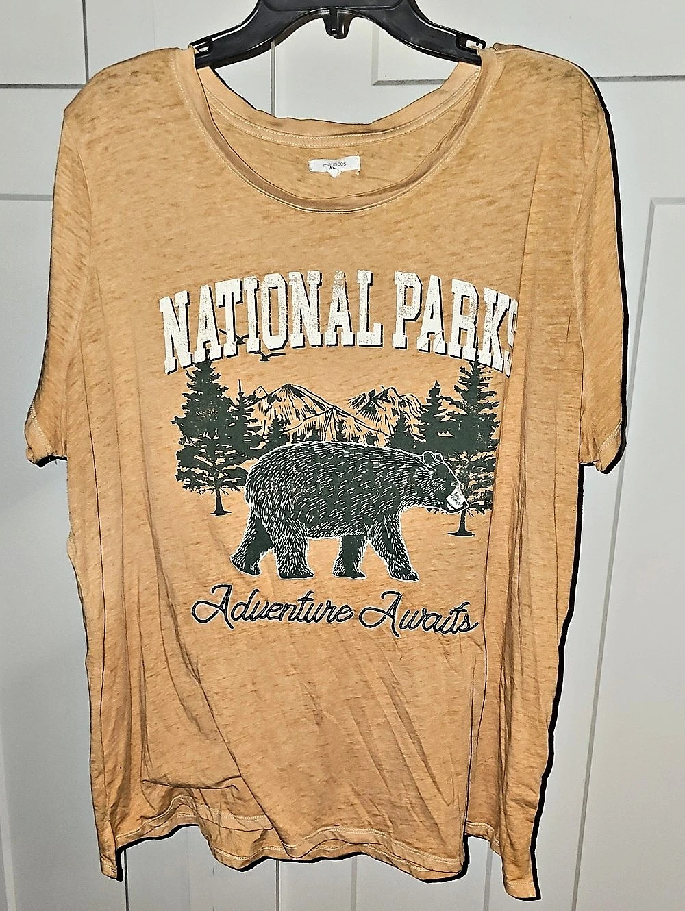 Maurices National Parks Adventure Awaits Graphic Tee Brown